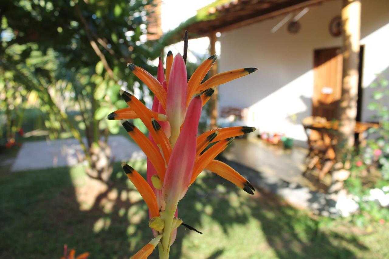 Family Guest House Velha Boipeba Buitenkant foto
