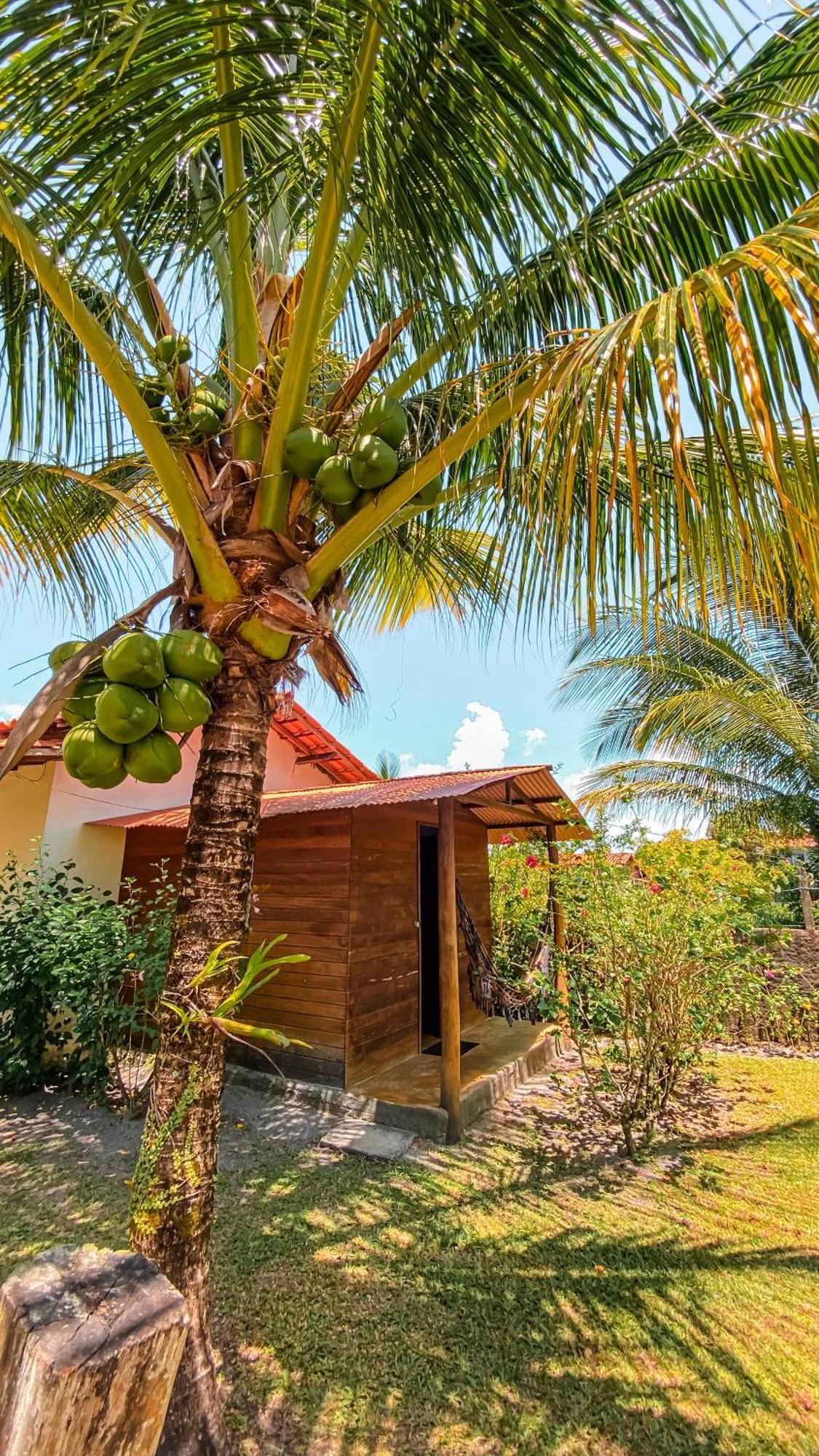 Family Guest House Velha Boipeba Buitenkant foto